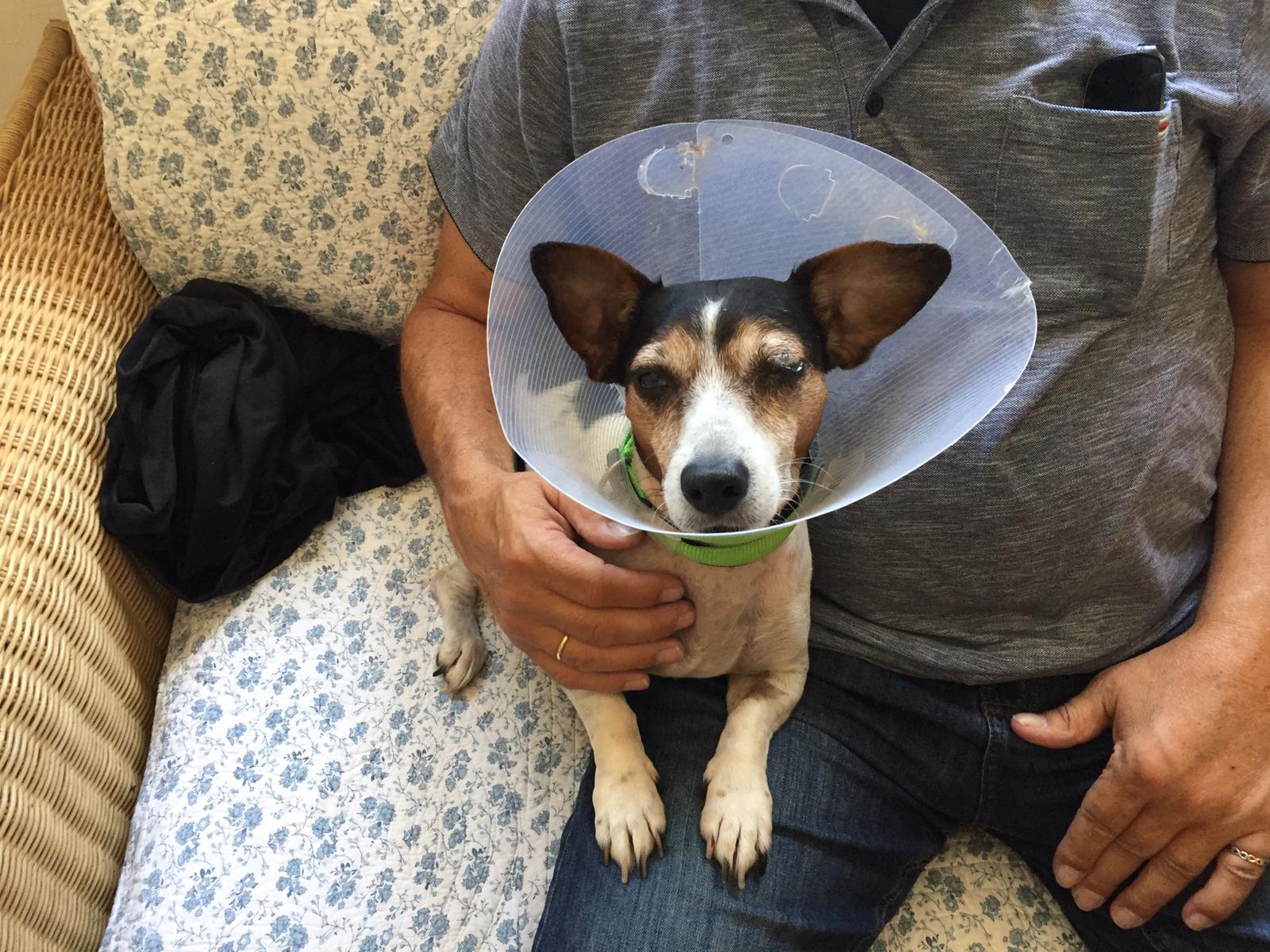 Anjas Auto / Paulas Auge Janas Tierhilfe